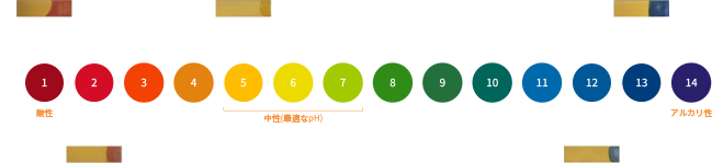 図解